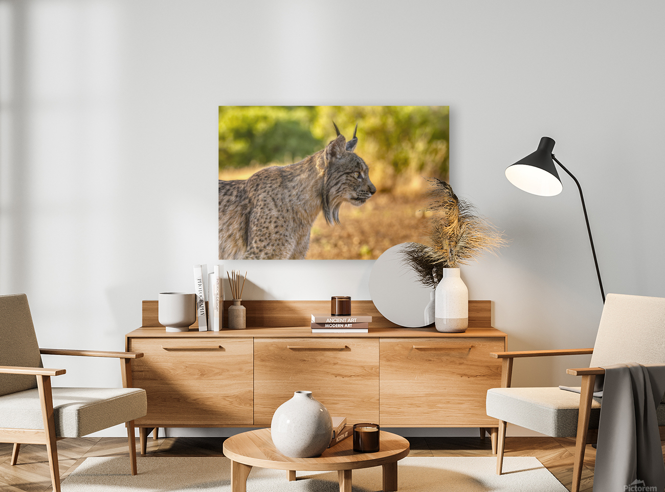 Iberian lynx Reproduction