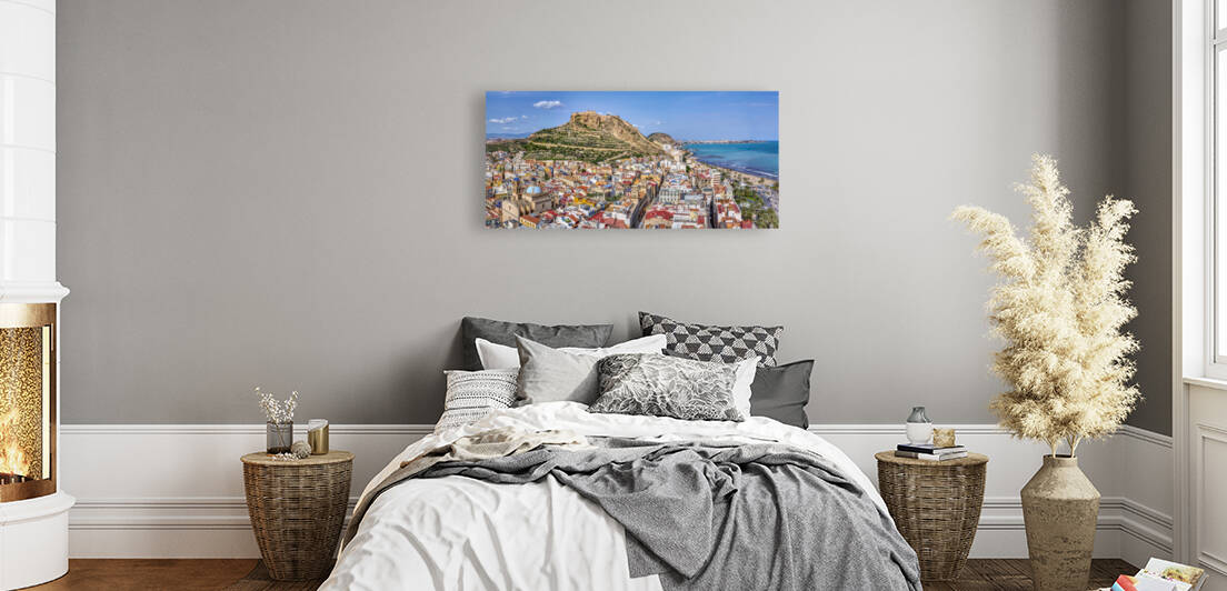 AlicanteSpain. Reproduction
