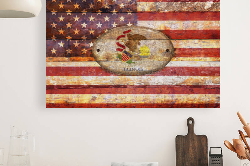 Illinois flag Reproduction