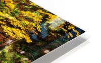 Autumnal riverscape  HD Metal print