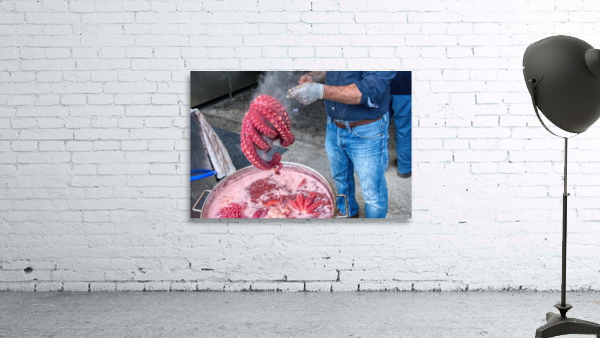 Octopus Wall Preview