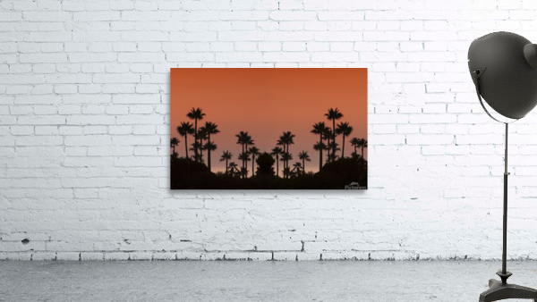 Sunset with palms Wall Preview
