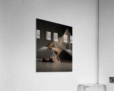 Ascent Acrylic Print