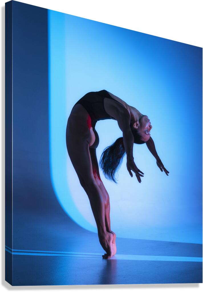 Laetitia Sliver I