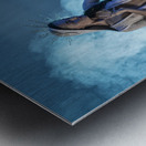 High Priestess II Metal print