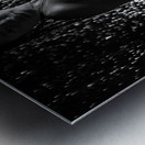 Lost in the Rain II Metal print