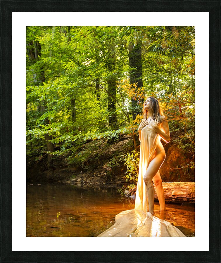 Nyad Picture Frame print