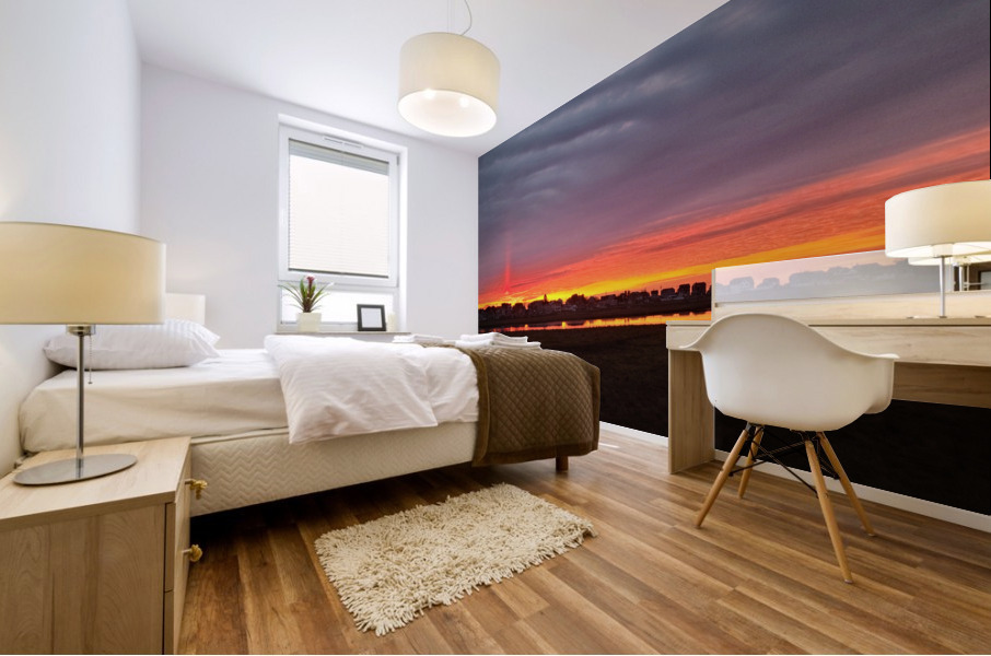20230129 065108 Mural print