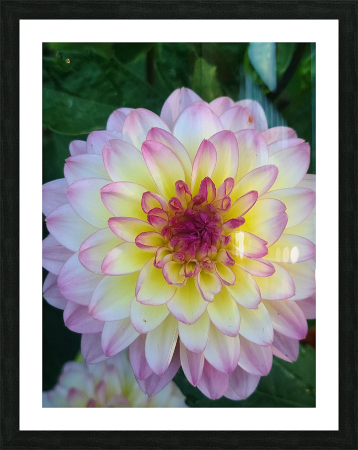 20220707 061004 Picture Frame print