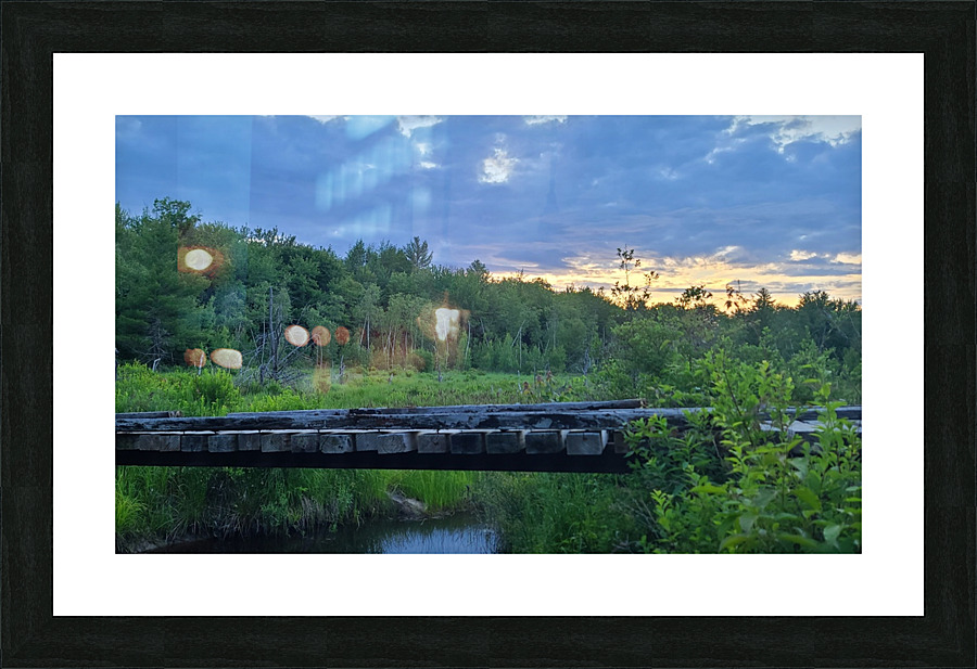 20220623 201137 Picture Frame print