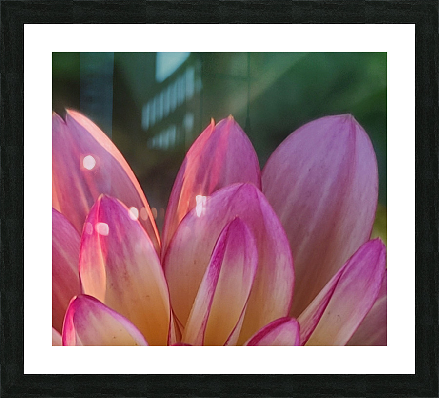 20220710 061137 Picture Frame print