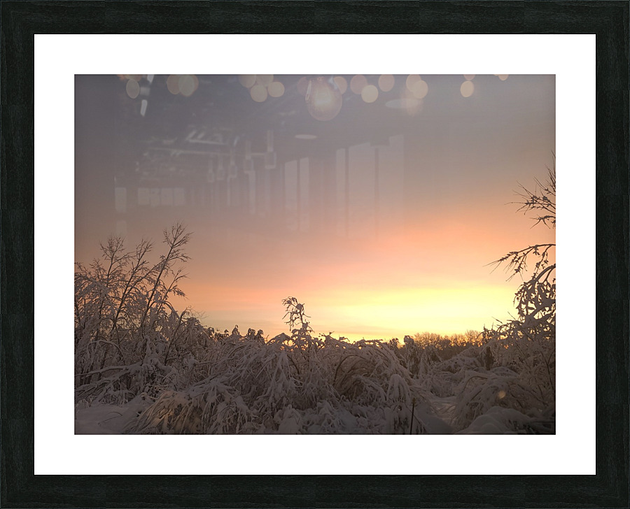 20230124 070231 Picture Frame print