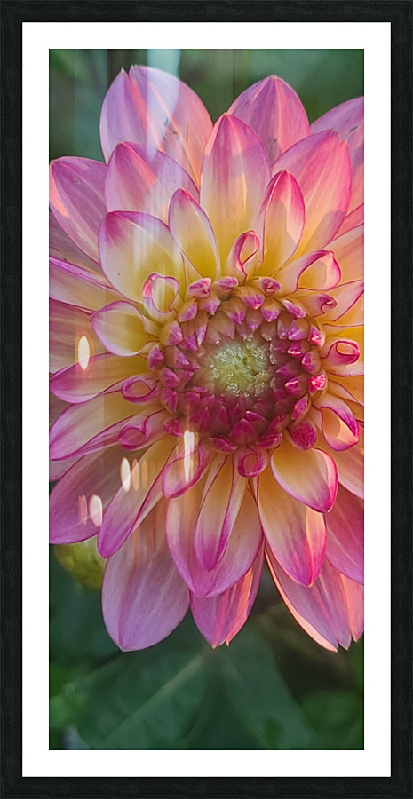 20220710 061139 Picture Frame print