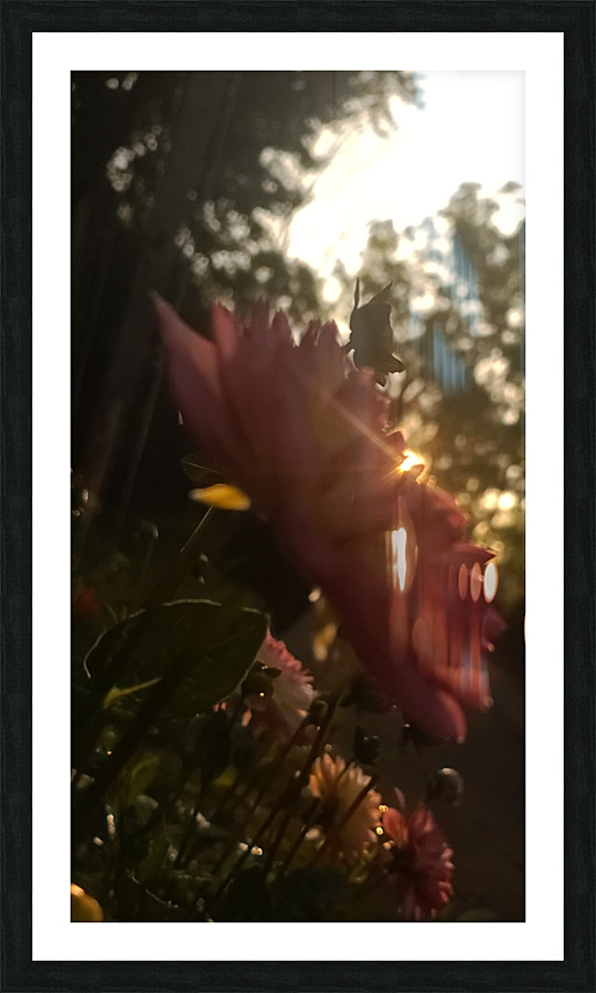 20220710 061242 Picture Frame print