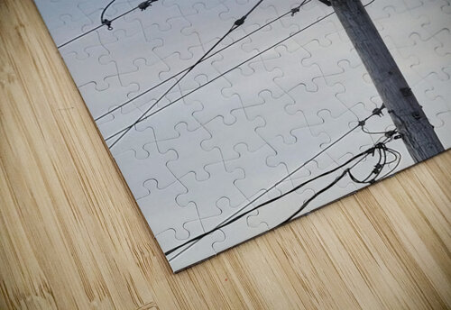 Amandas  Cole Wooster puzzle