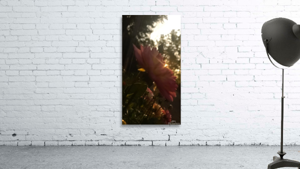 20220710 061242 Wall Preview