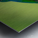 Oiseaux dEquateur 11 Metal print