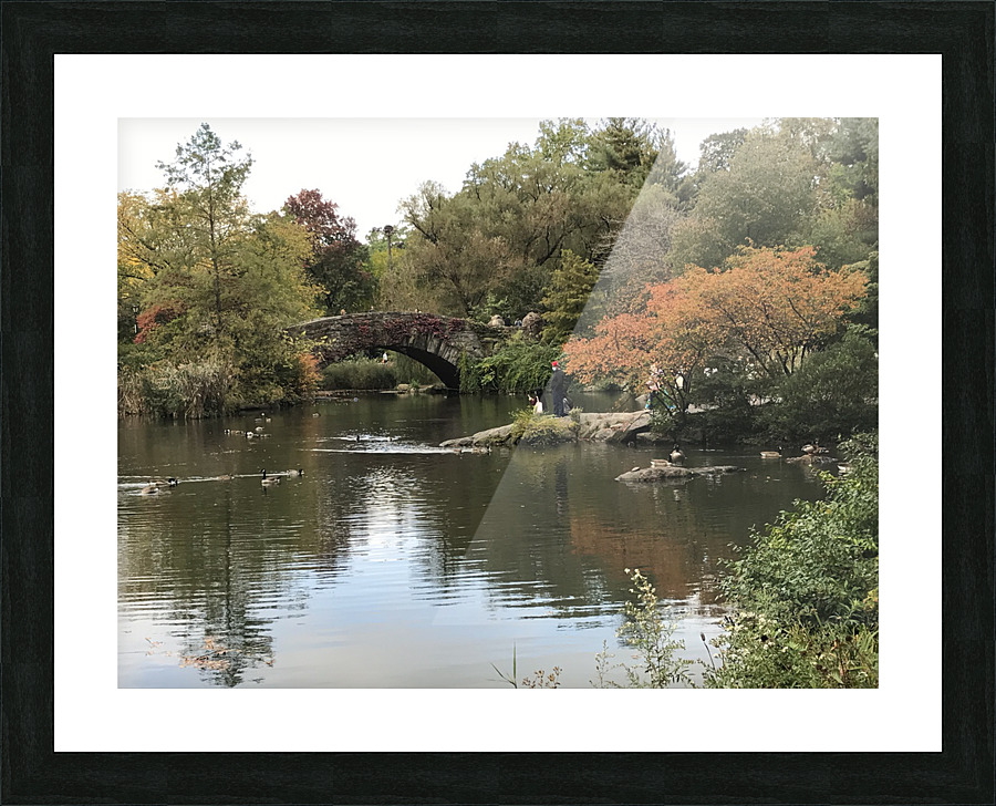Central Park NY Picture Frame print