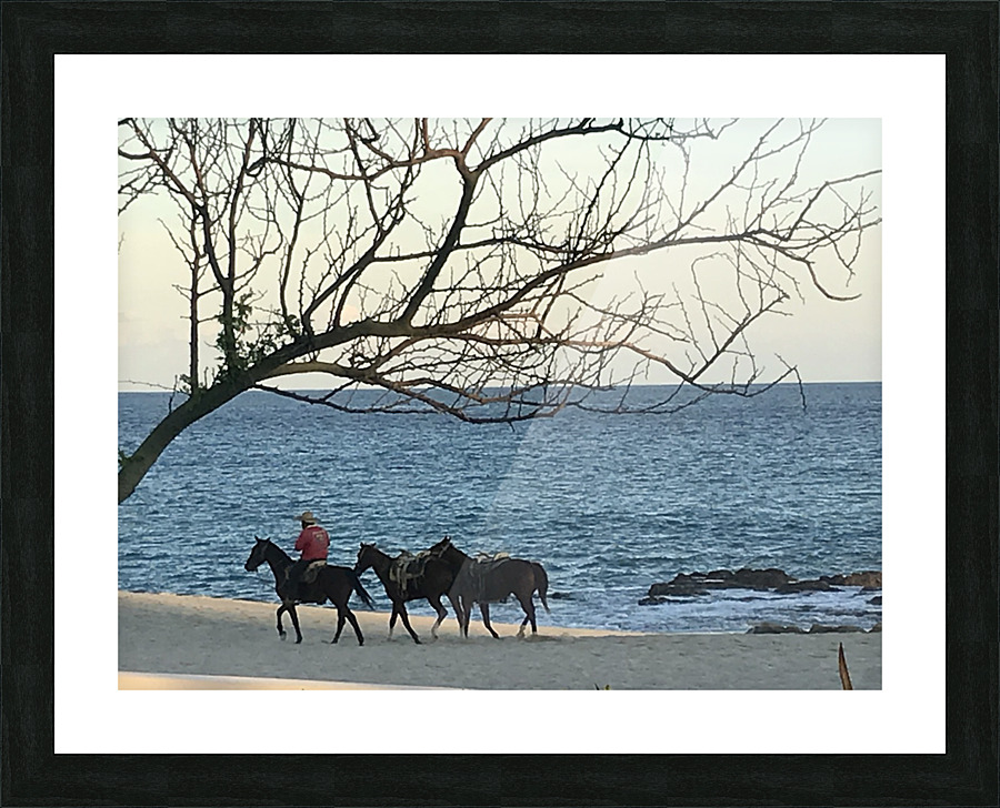 Peaceful Ride Picture Frame print