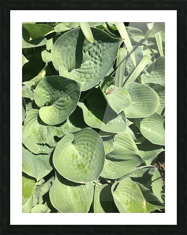 Green Picture Frame print