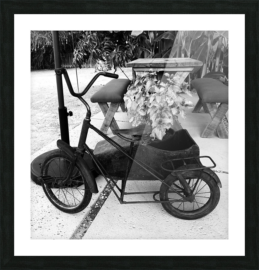 Old cycle Picture Frame print