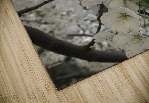 Cherry Blossom - White Nvinnie puzzle