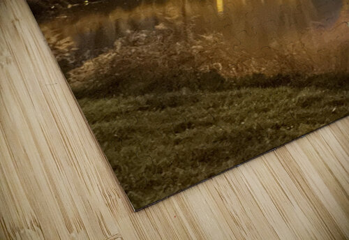 sundown Nvinnie puzzle