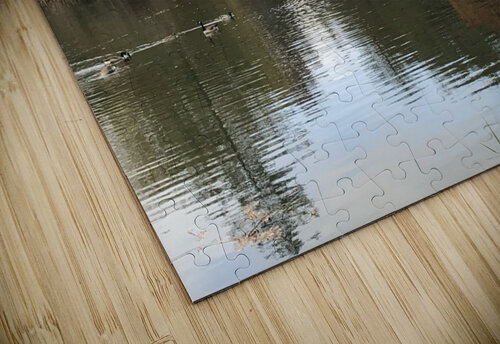 Central Park NY Nvinnie puzzle