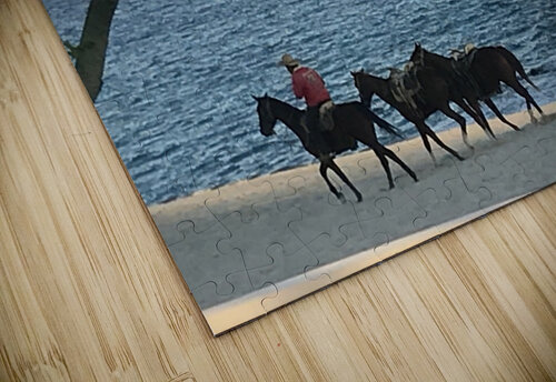 Peaceful Ride Nvinnie puzzle