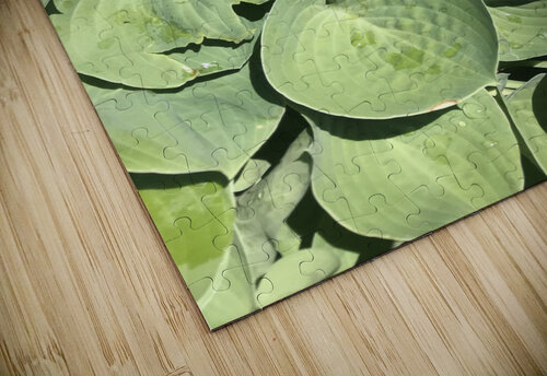 Green Nvinnie puzzle