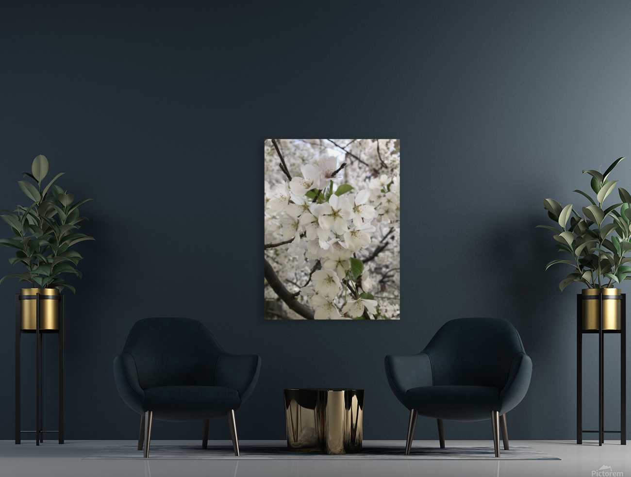 Cherry Blossom - White Reproduction