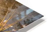 sundown HD Metal print
