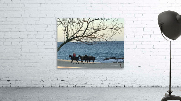 Peaceful Ride Wall Preview