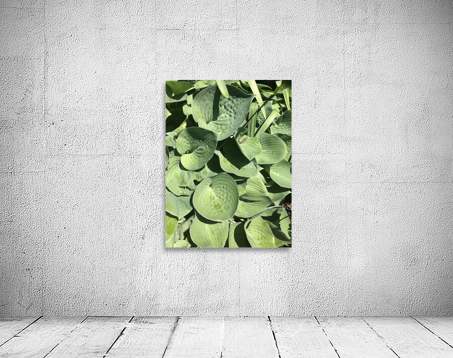 Green Wall Preview