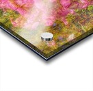 Blooming Pink Acrylic print