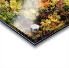 Floral Meadow Acrylic print