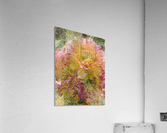 Playful Poses Acrylic Print