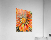 Orange Sunset Acrylic Print