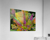 Amazing Cabbage Acrylic Print