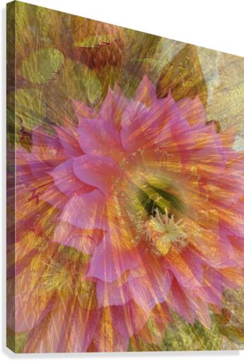 Pastel Breeze Canvas Print