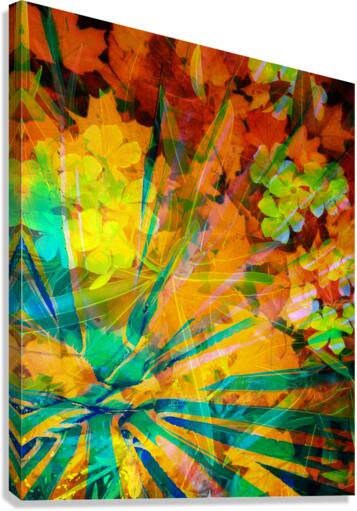 Color Burst Canvas Print