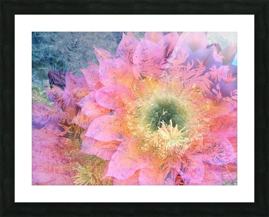 Delicate Blossom Picture Frame print