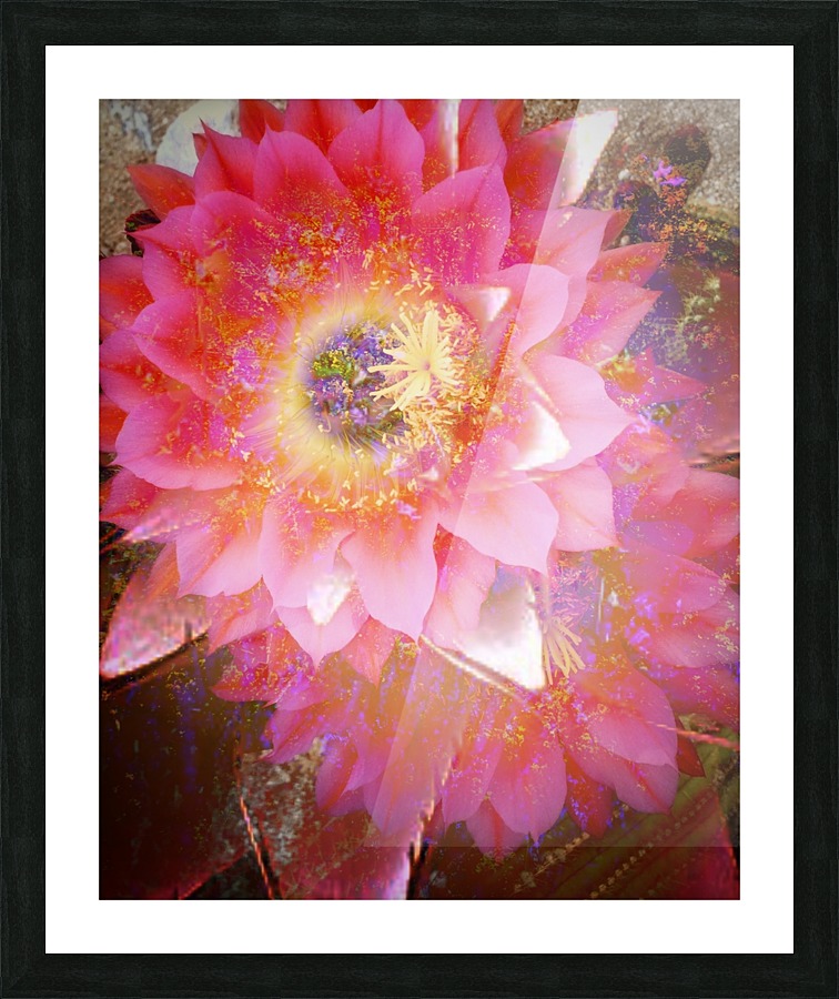 Vibrant Double Picture Frame print