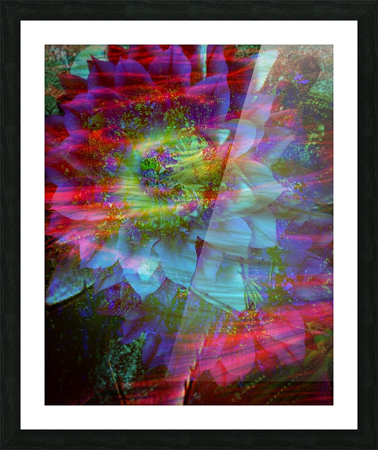 Showy Bloom Picture Frame print