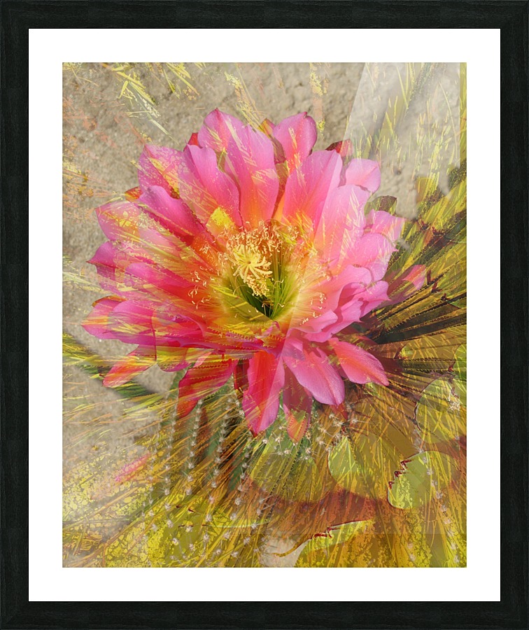 Pastel Rays Picture Frame print