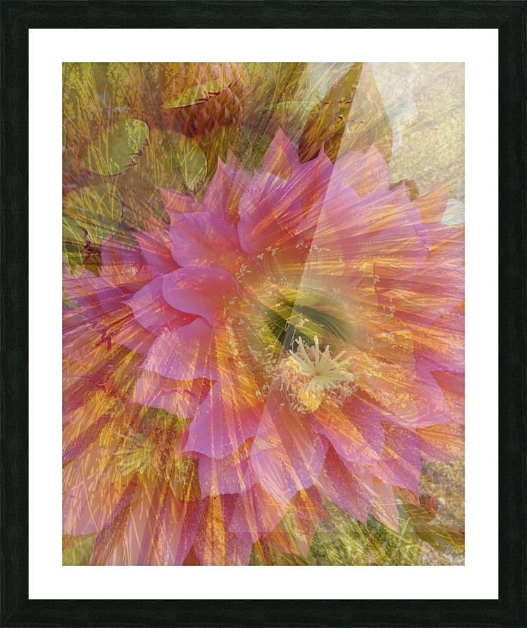 Pastel Breeze Picture Frame print