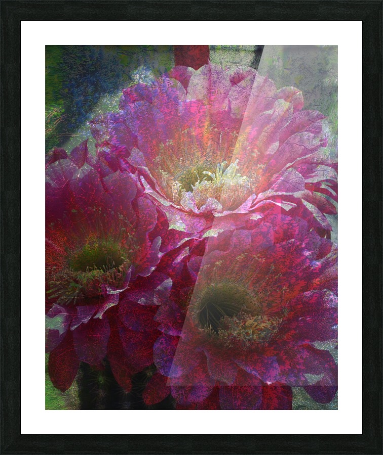 Triple Treat Picture Frame print