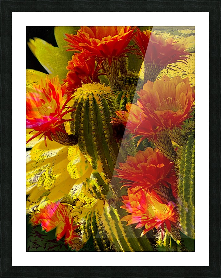Orange Glory Picture Frame print