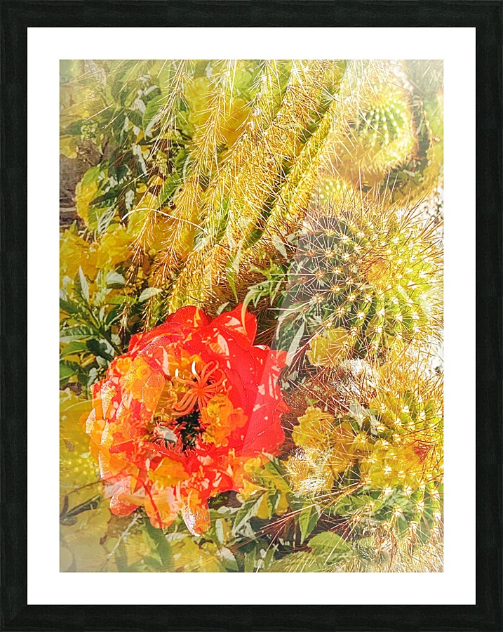 Red Prickles  Picture Frame print