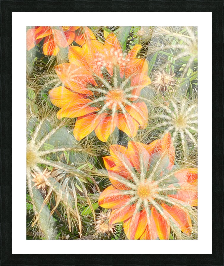 Orange Spiders Picture Frame print